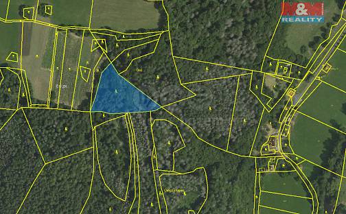 Prodej lesa 4 497 m², Koroužné, okres Žďár nad Sázavou
