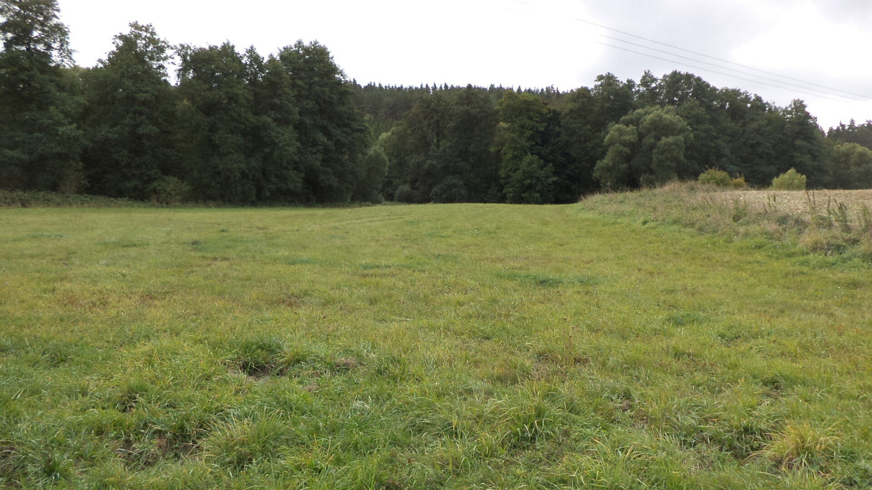 Prodej pole 58 887 m² – fotografie 3