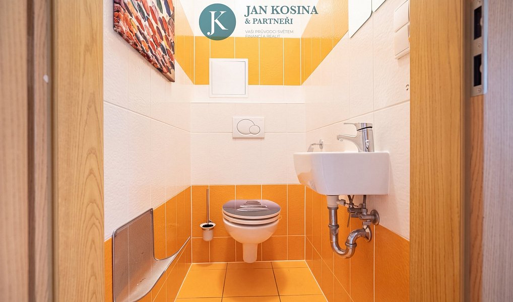 Prodej bytu 2+kk 53 m², Praha – náhled fotky 16