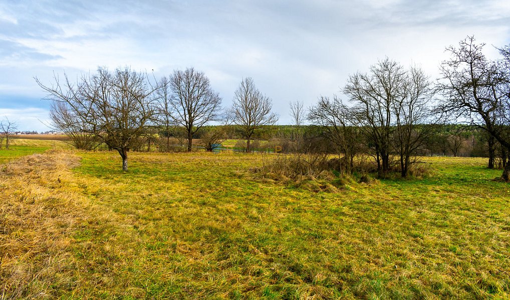 Prodej stavebního pozemku 1 515 m², Stádlec – náhled fotky 10