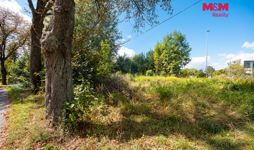 Prodej domu 50 m² s pozemkem 2 103 m², Červená Voda – náhled fotky 11