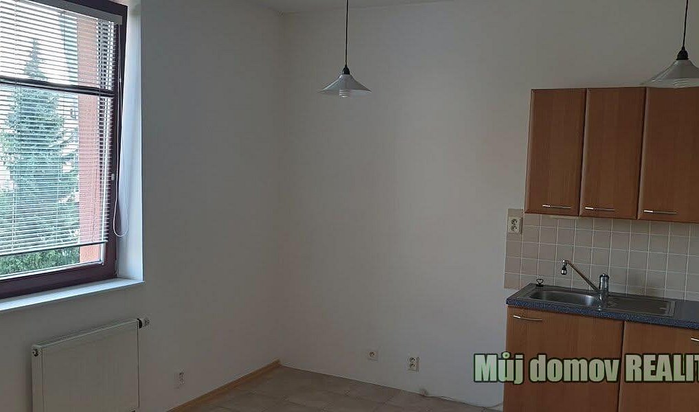 Pronájem bytu 1+kk 27 m², Praha – náhled fotky 3
