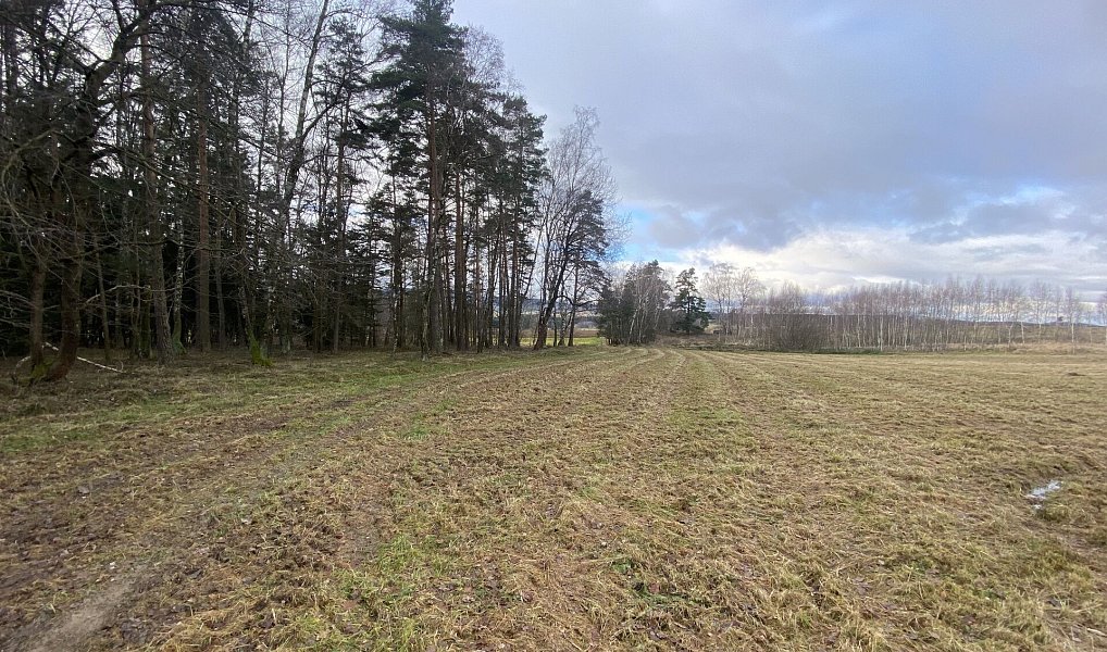 Prodej pozemku 11 526 m², Kaplice – náhled fotky 2