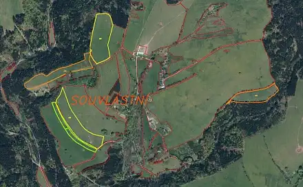 Prodej pole 190 040 m², Souvlastní, Zdobnice, okres Rychnov nad Kněžnou