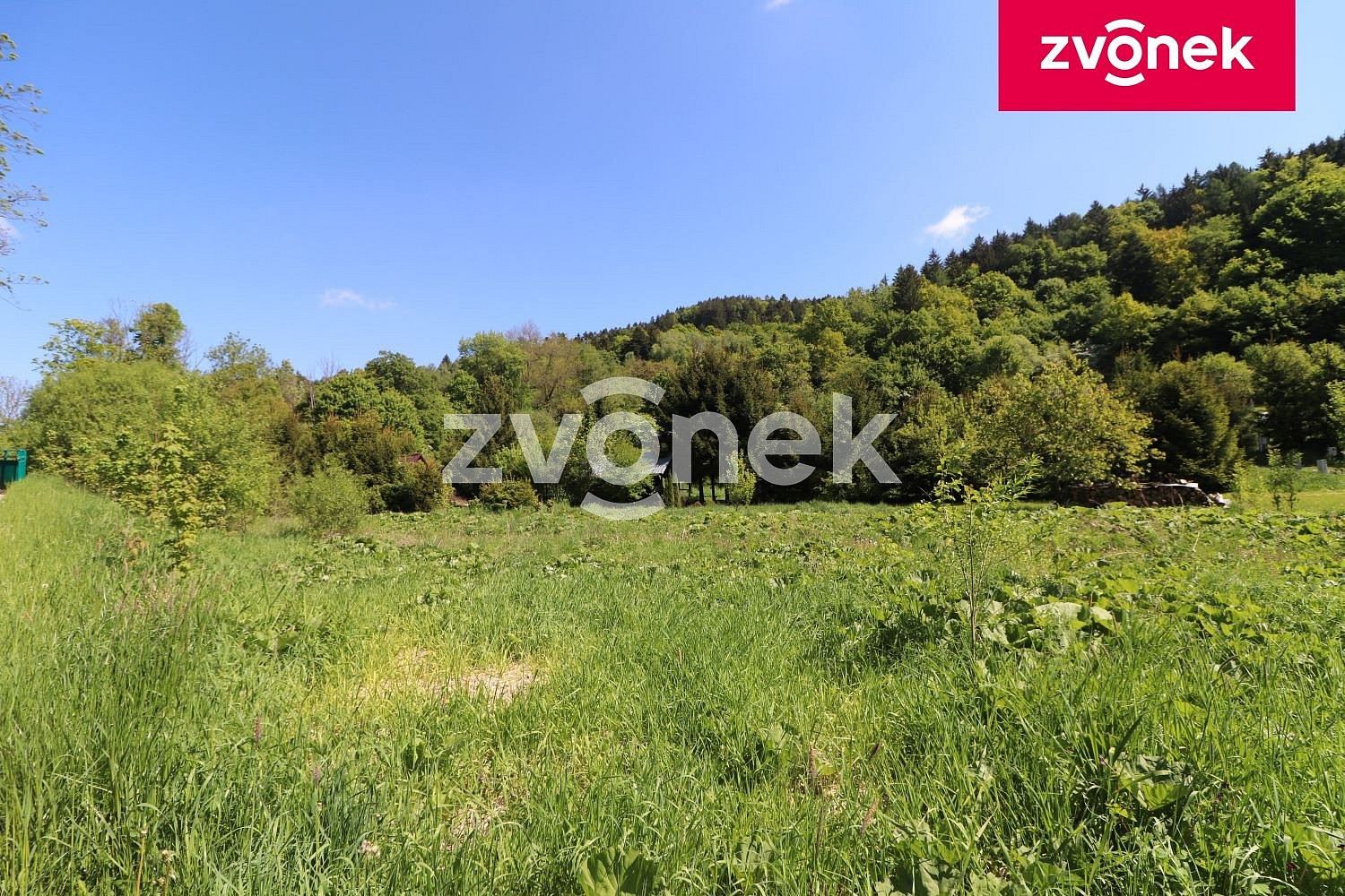 Fotka 19 z 20