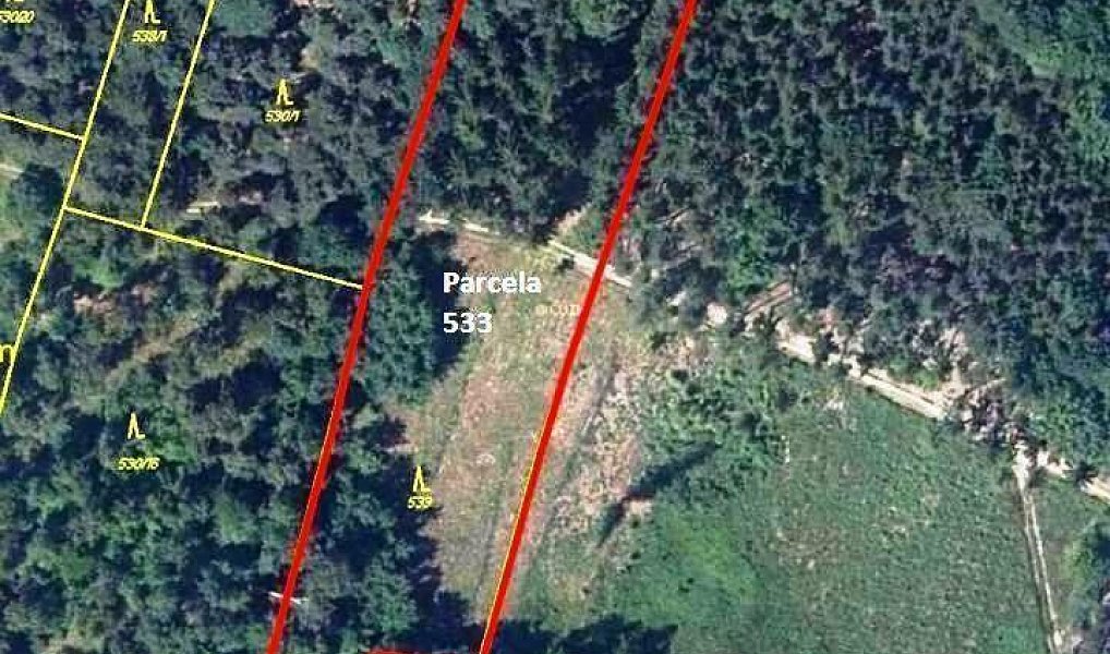 Pronájem pole 13 429 m², Mutějovice – náhled fotky 4