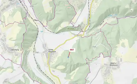 Dražba lesa 1 938 m², Lhota Rapotina