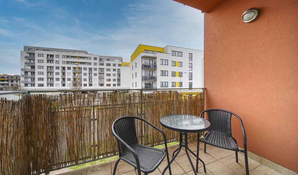 Pronájem bytu 1+kk 30 m², Plzeň – náhled fotky 8