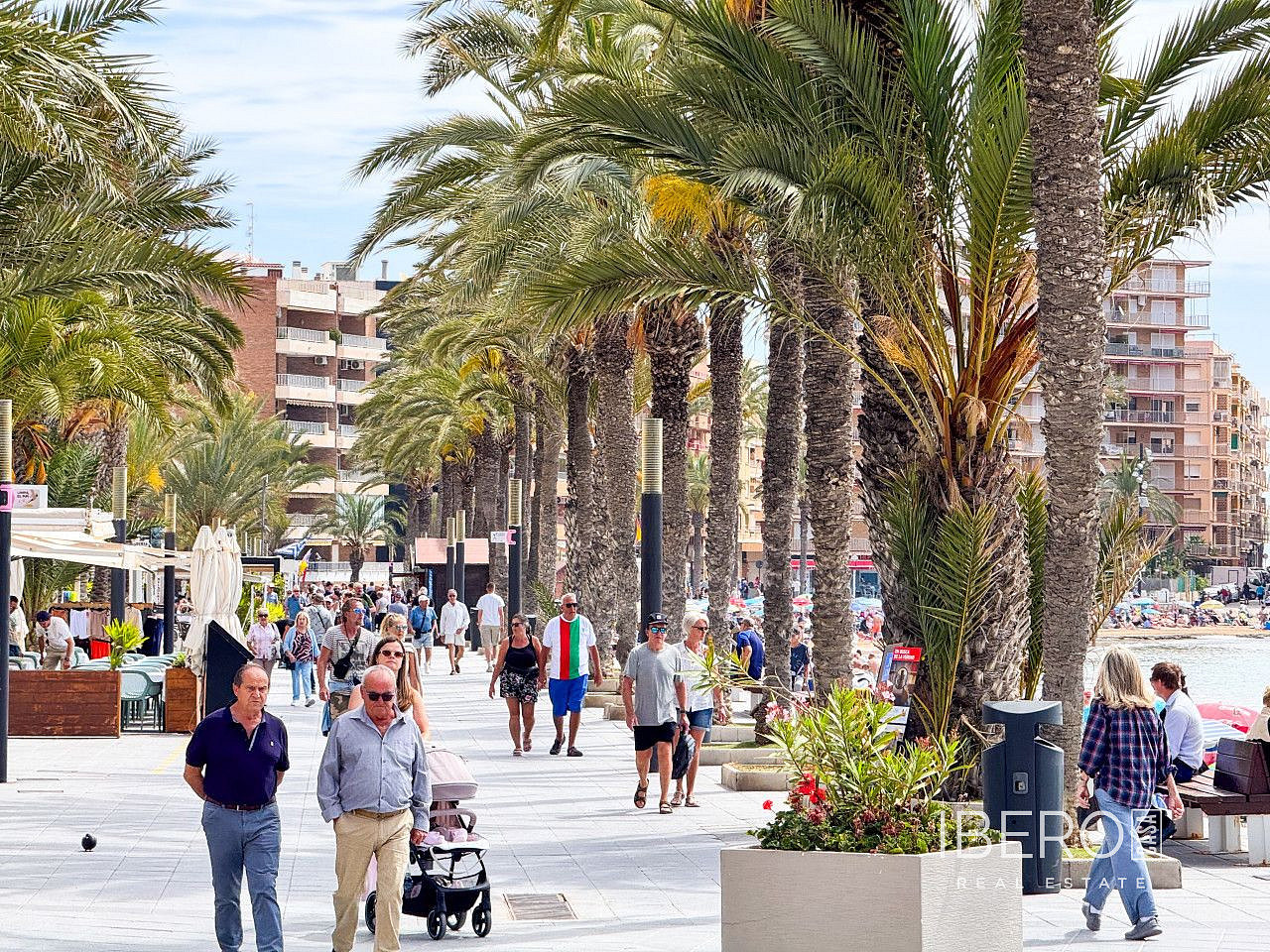 Piso 2+kk – Torrevieja, Europa, el Baix Segura / La Vega Baja - Más