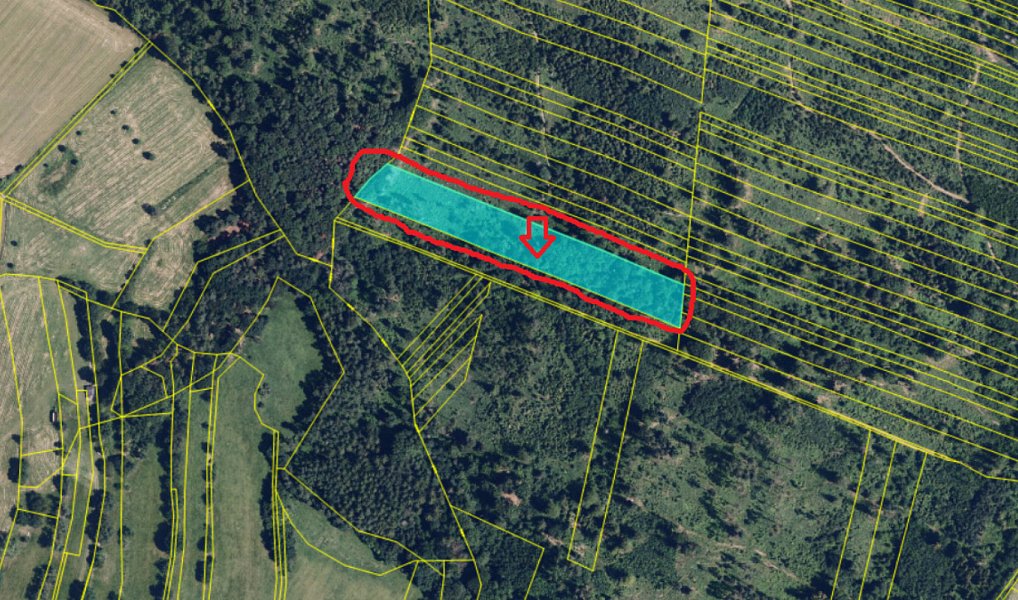 Prodej lesa 6 798 m², Nýřany – náhled fotky 4