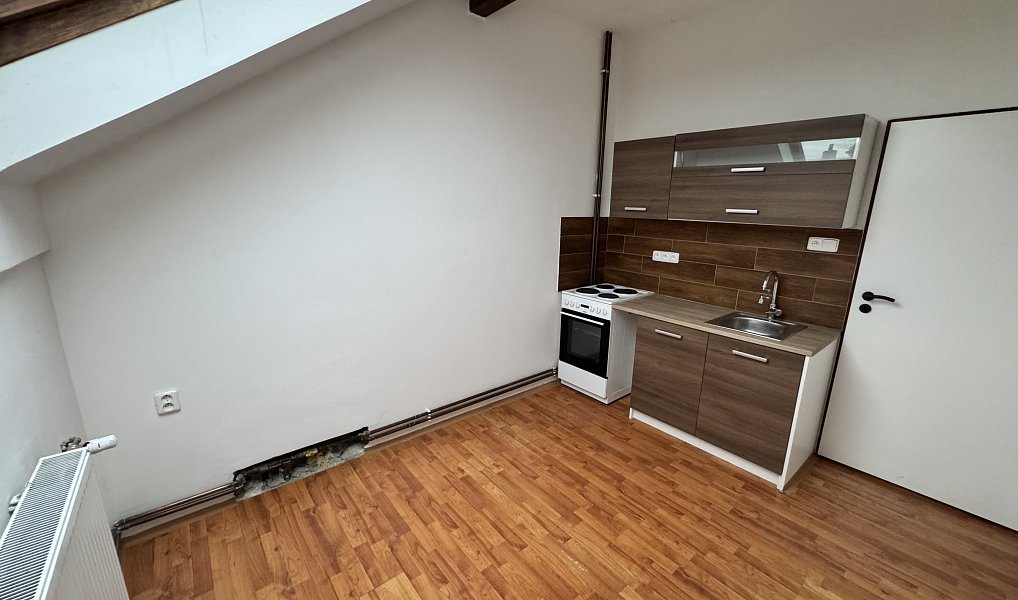 Pronájem bytu 1+1 35 m², Brňany – náhled fotky 4