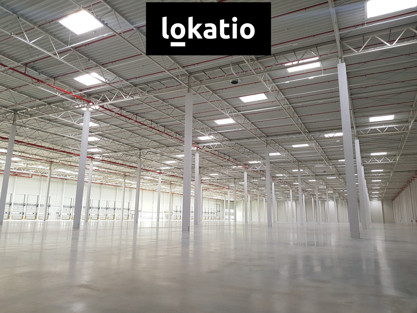 Pronájem skladovacích prostor 5 061 m² — photo 4