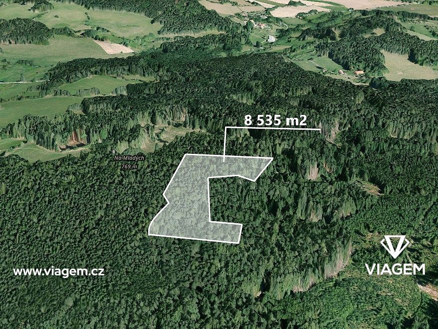 Prodej lesa 1 219 m²