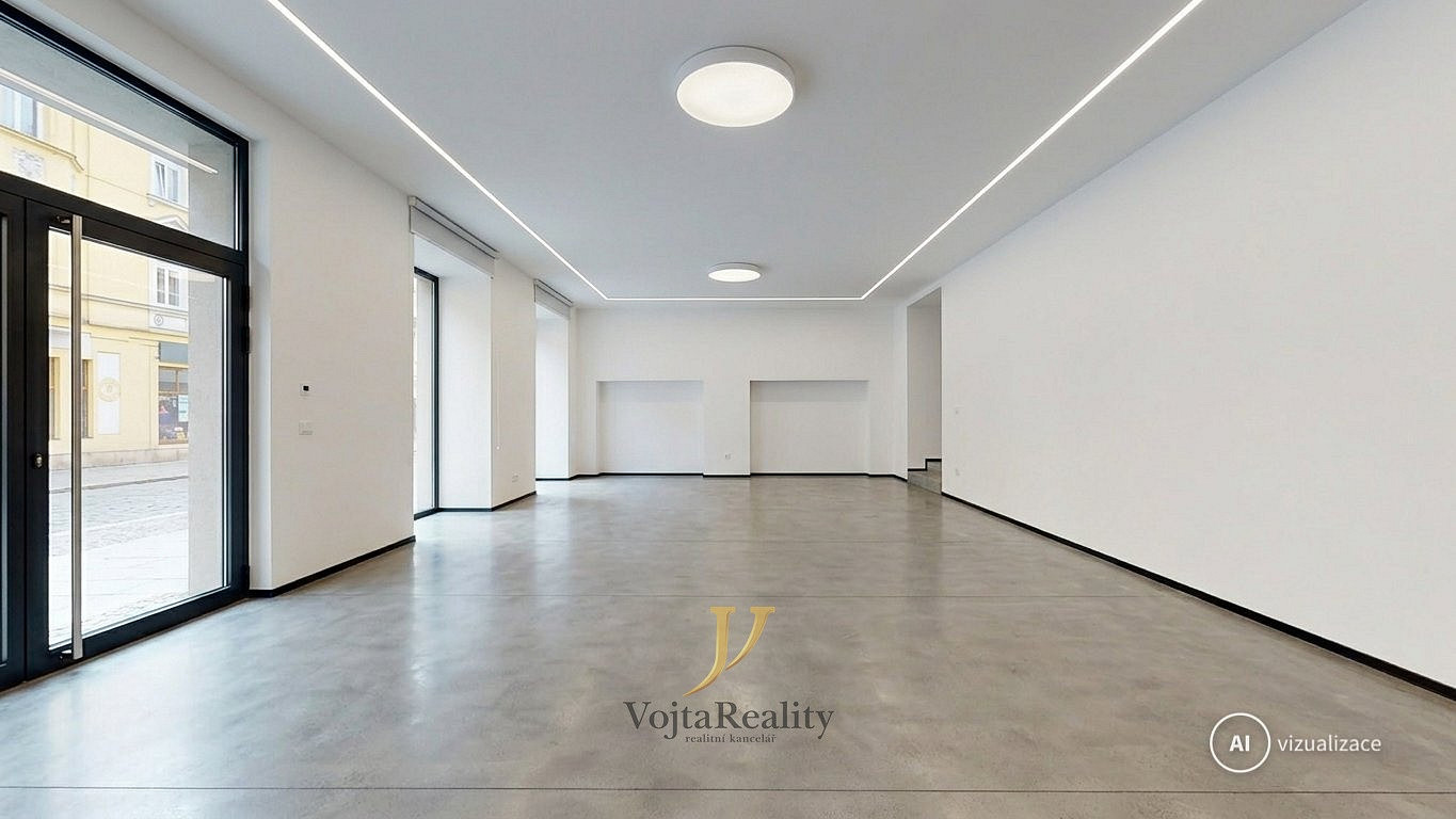 Pronájem obchodních prostor 215 m² – fotografie 5