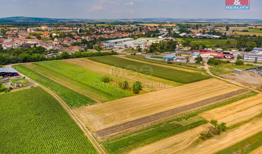 Prodej pole 2 005 m², Podivín – náhled fotky 3