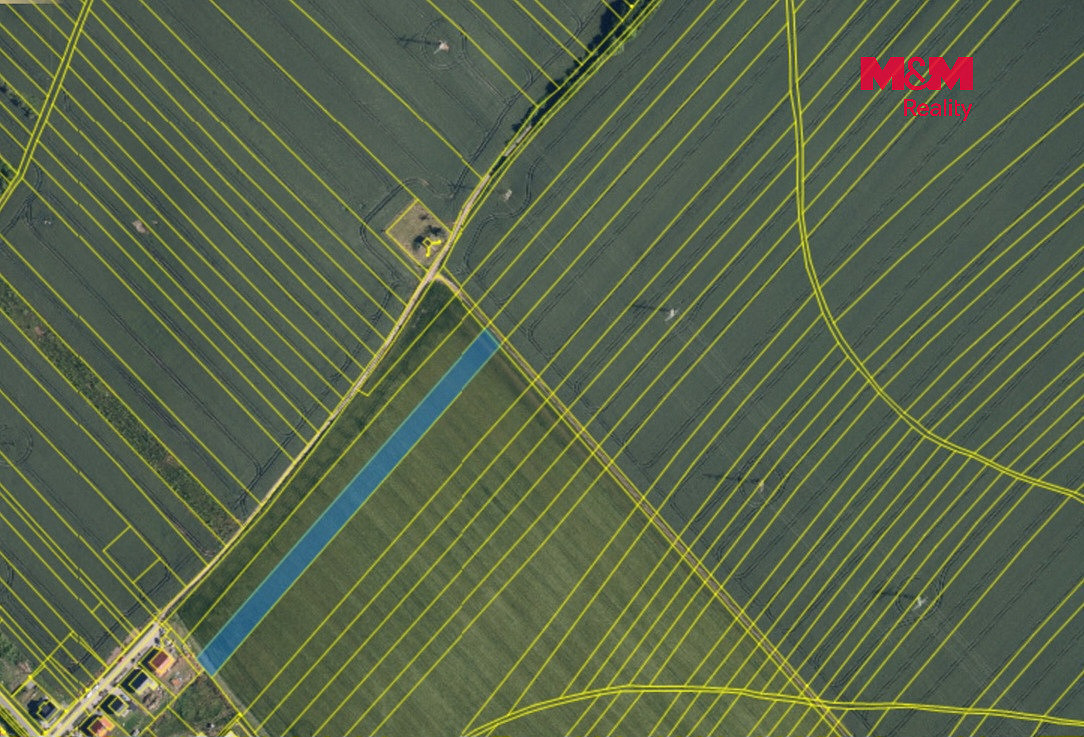 Prodej pole 11 885 m² — photo 4