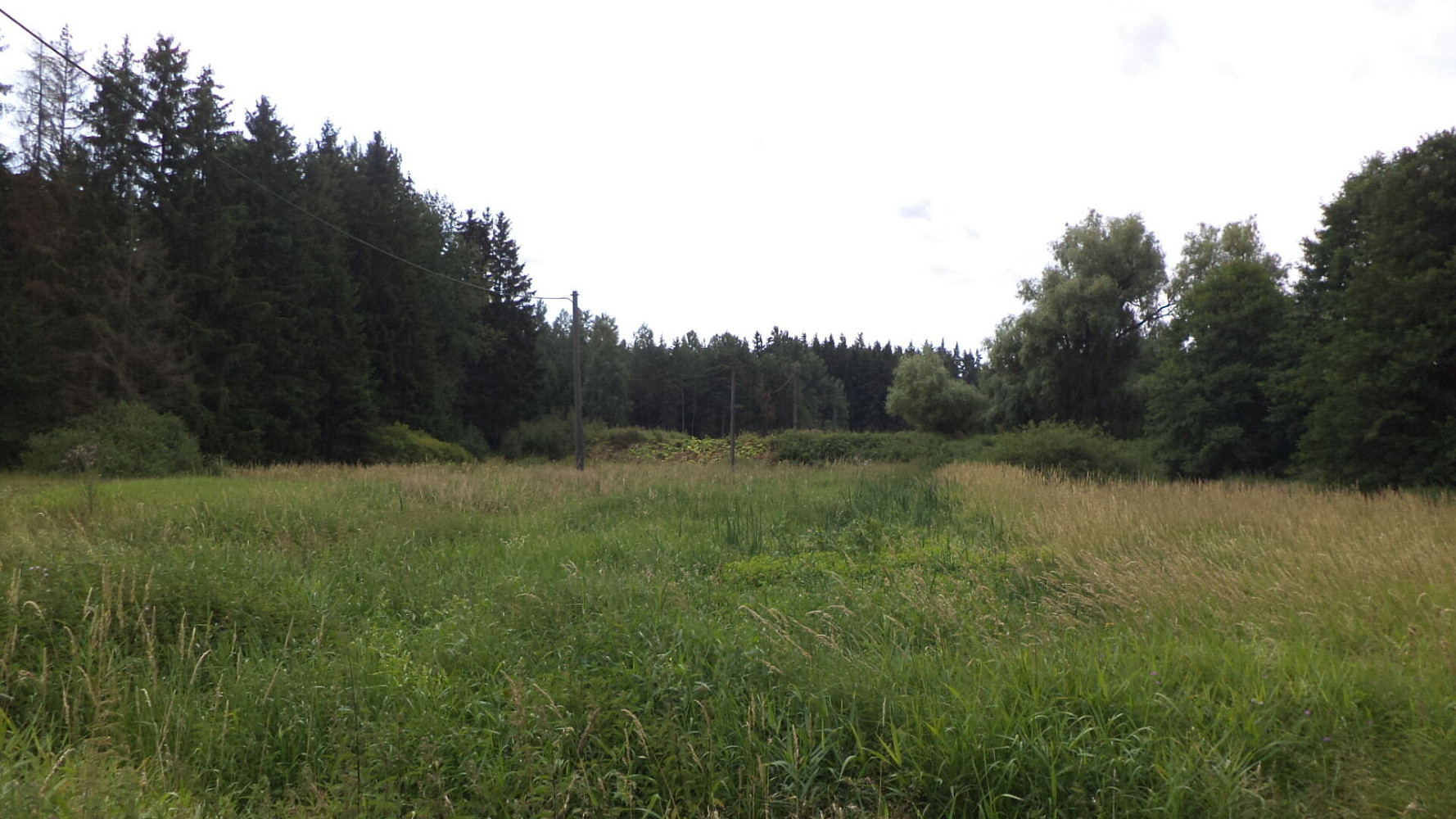 Prodej pole 13 137 m² – fotografie 4