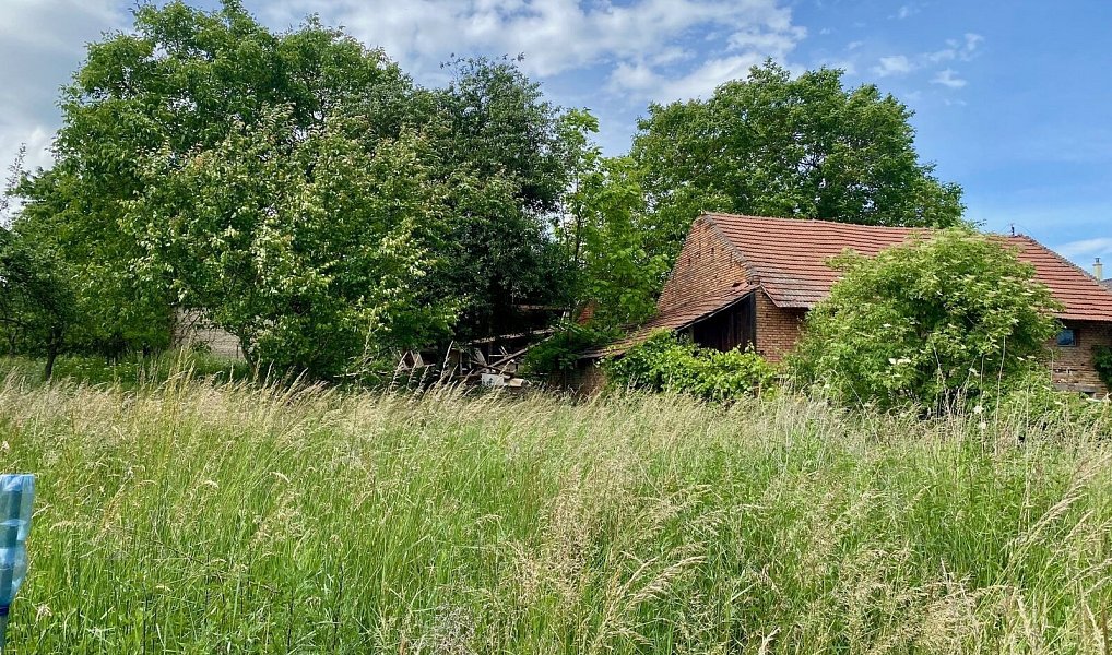Prodej stavebního pozemku 2 450 m², Honětice – náhled fotky 9