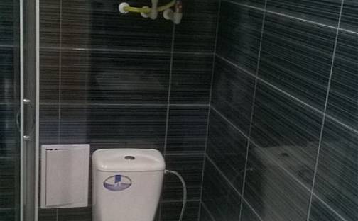 Pronájem bytu 1+1 35 m², Mahenova, Ústí nad Labem - Předlice