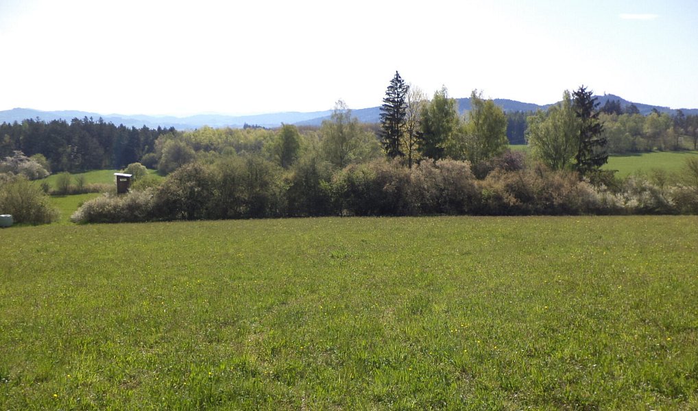 Prodej pole 9 910 m², Mokrosuky – náhled fotky 4