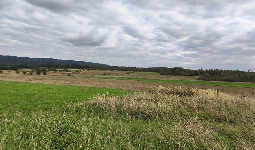 Prodej louky 3 629 m², Stará Huť – náhled fotky 2