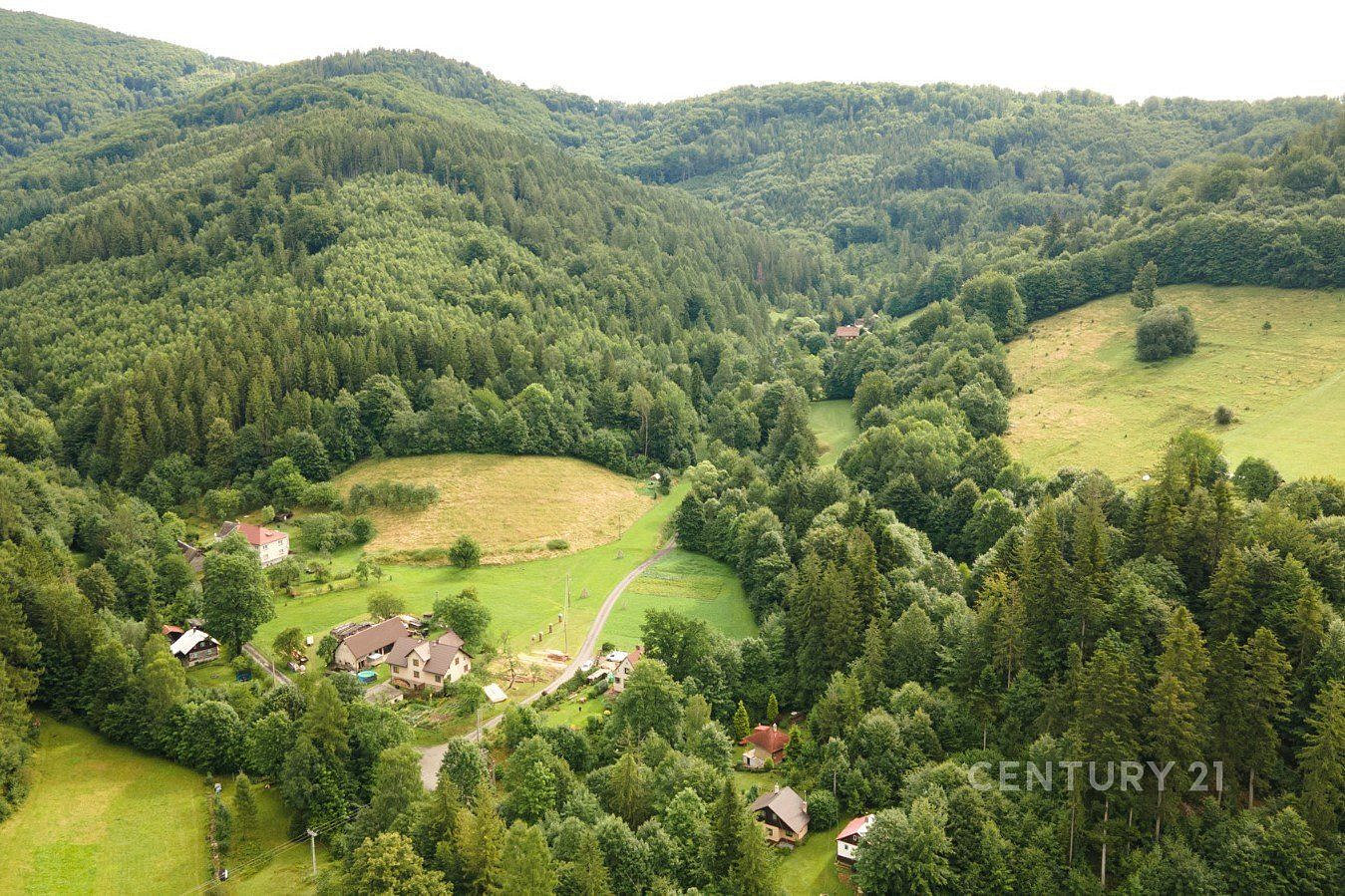 Prodej lesa 20 397 m² — photo 3