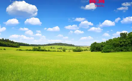 Prodej louky 15 452 m², Kouty, okres Havlíčkův Brod