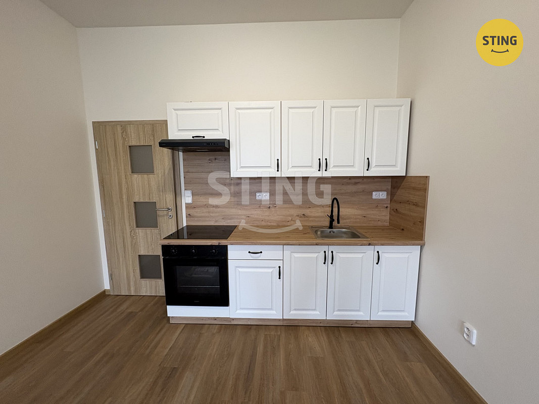Pronájem bytu 1+kk 47 m² – fotografie 4