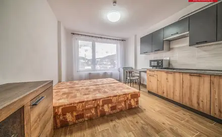 Pronájem bytu 1+kk 25 m², Čajkovského, Ústí nad Labem