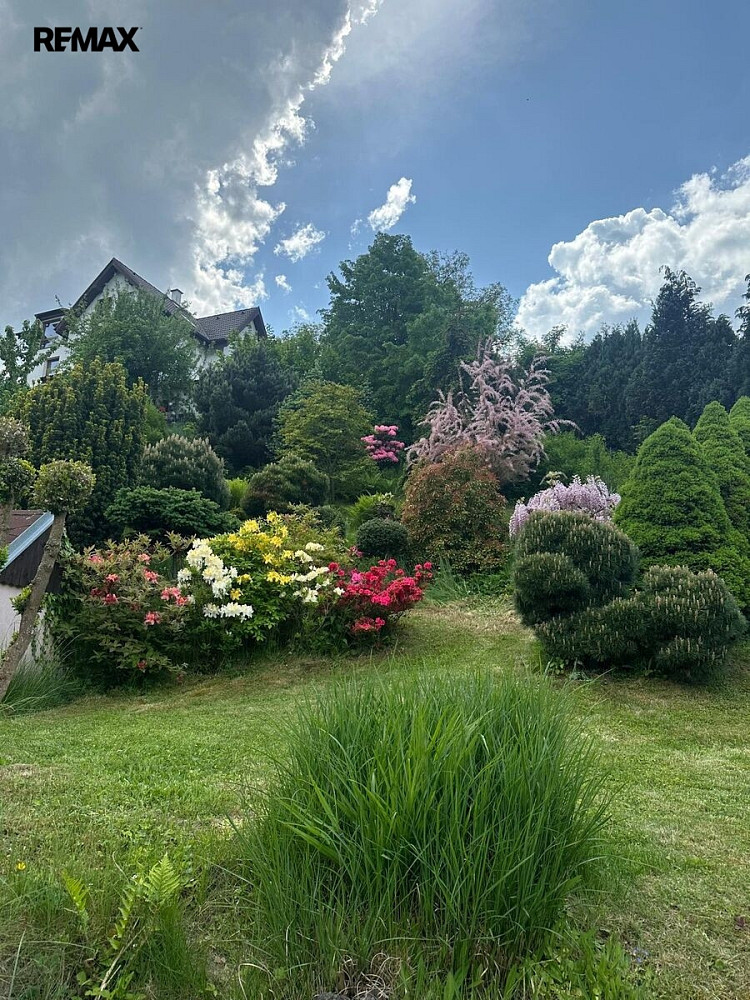 Fotka 6 z 30