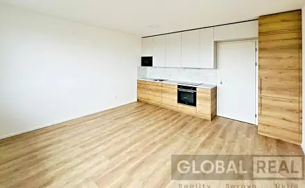 Pronájem bytu 1+kk 30 m²