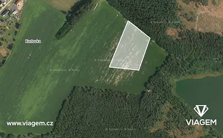 Prodej pole 1 755 m², Velká Bukovina, okres Děčín