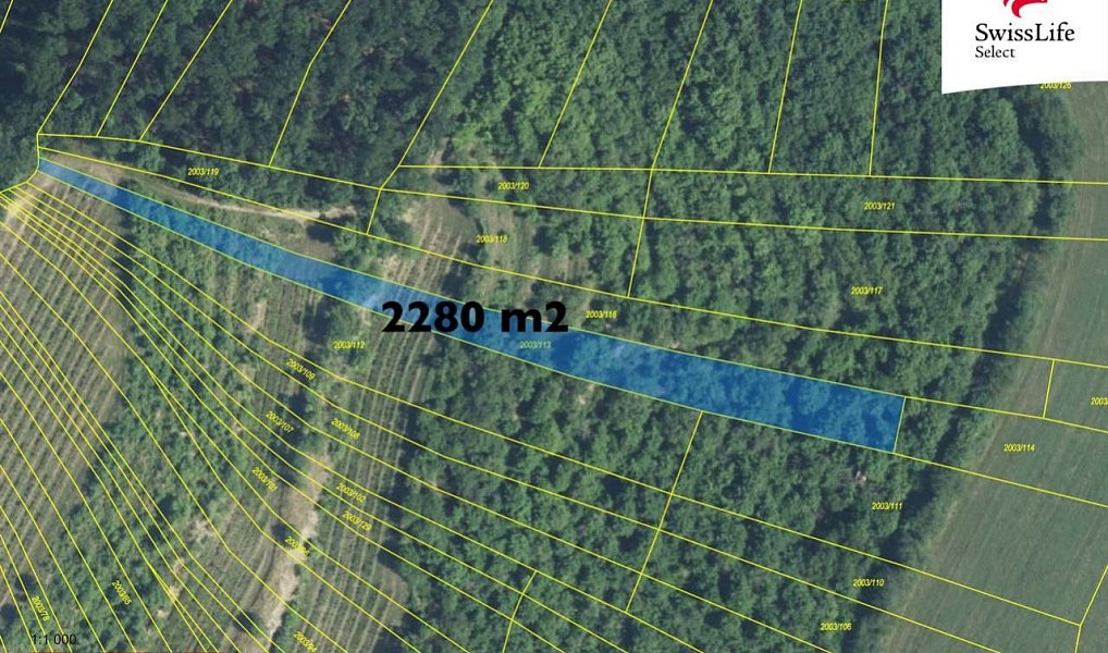 Prodej komerčního pozemku 3 394 m², Brumovice – náhled fotky 2