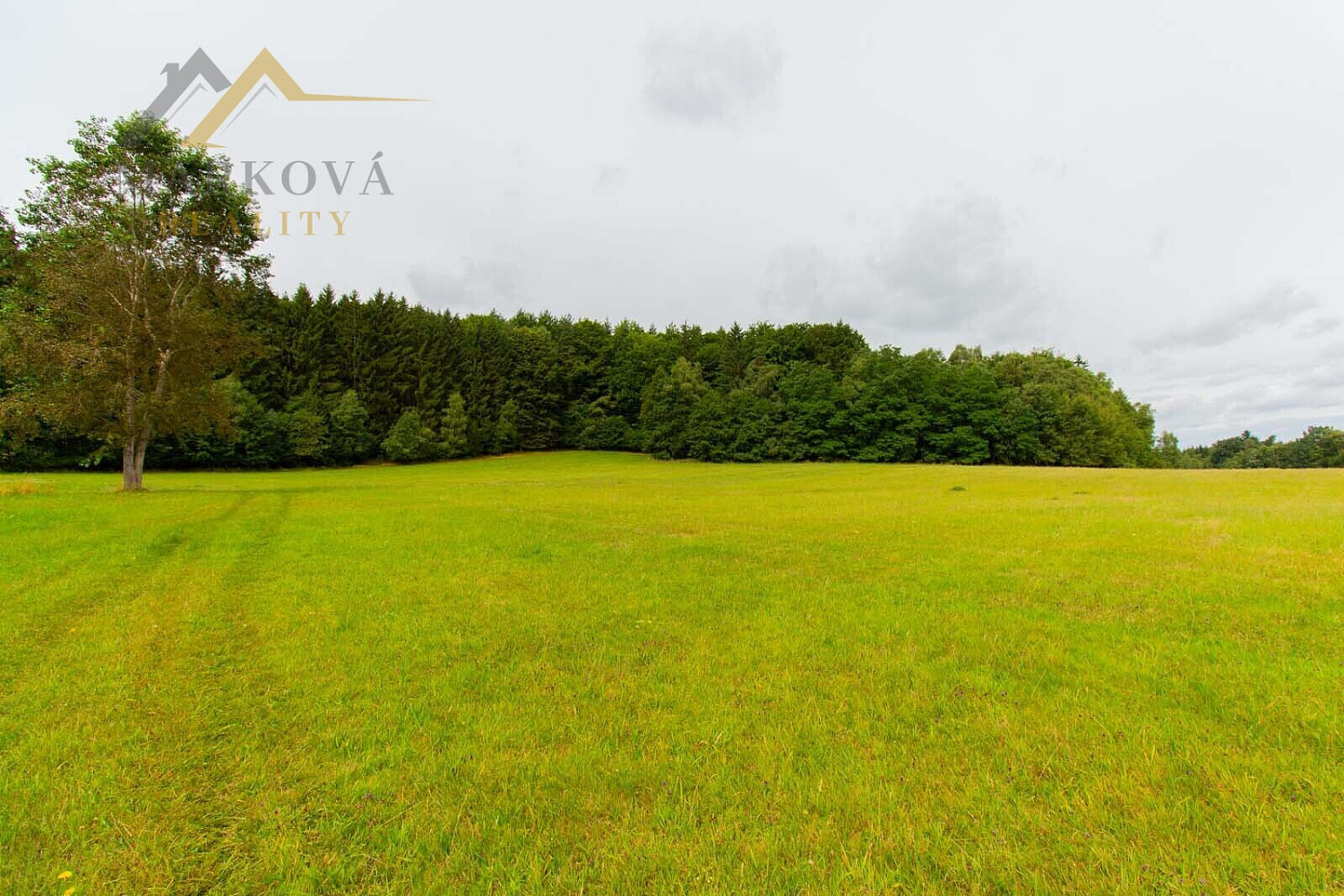 Prodej louky 98 591 m² — photo 3