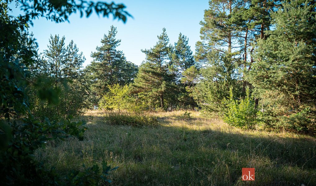 Prodej stavebního pozemku 2 135 m², Kadov – náhled fotky 24