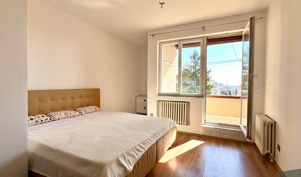 Pronájem bytu 5+kk 150 m², Praha – náhled fotky 10