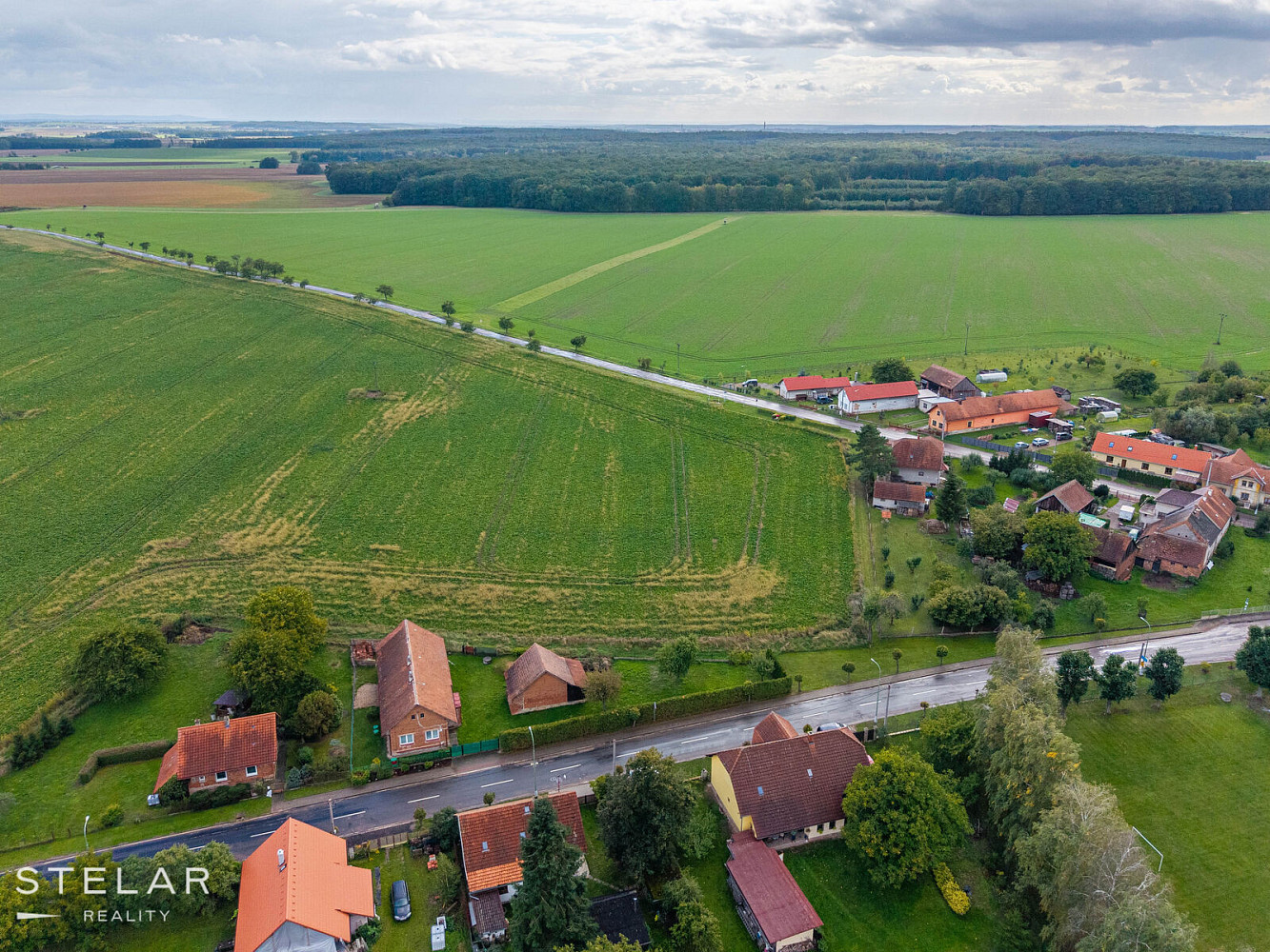 Prodej komerčního pozemku 3 812 m² – fotografie 4