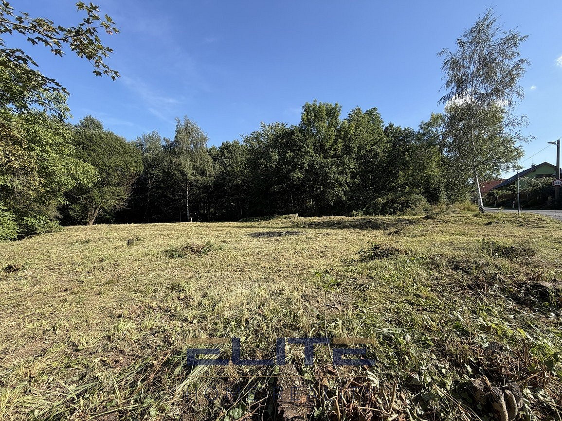 Pronájem stavebního pozemku 1 561 m² – fotografie 3