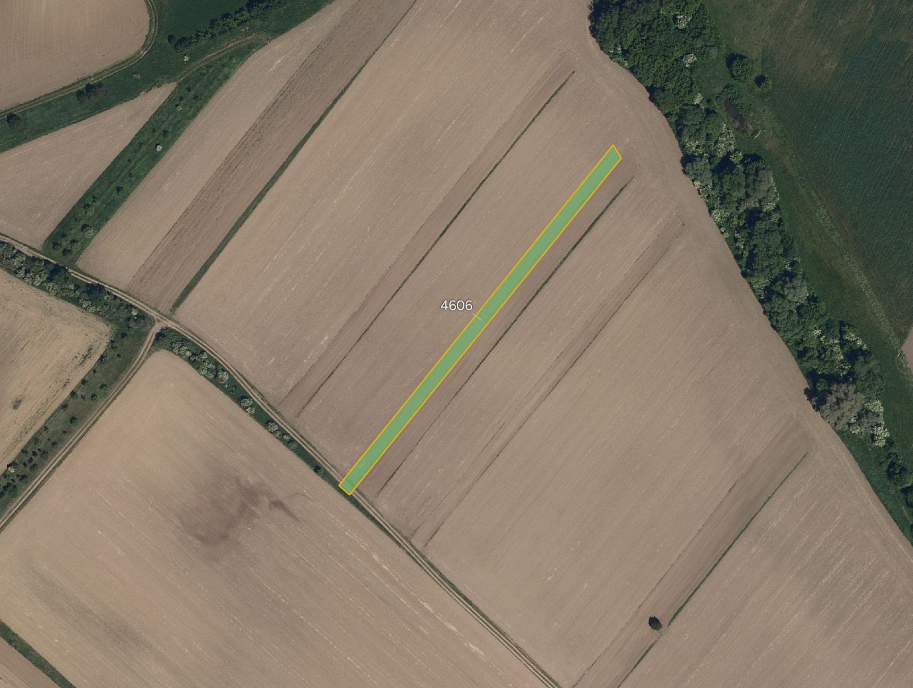Prodej pole 7 508 m² – fotografie 2