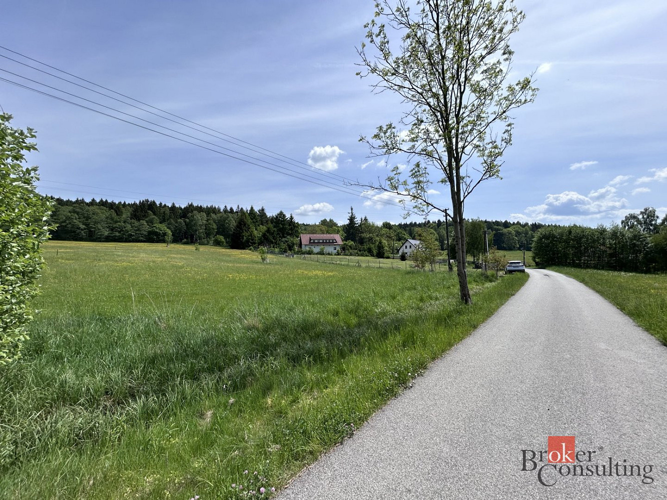 Prodej louky 8 717 m² – fotografie 3