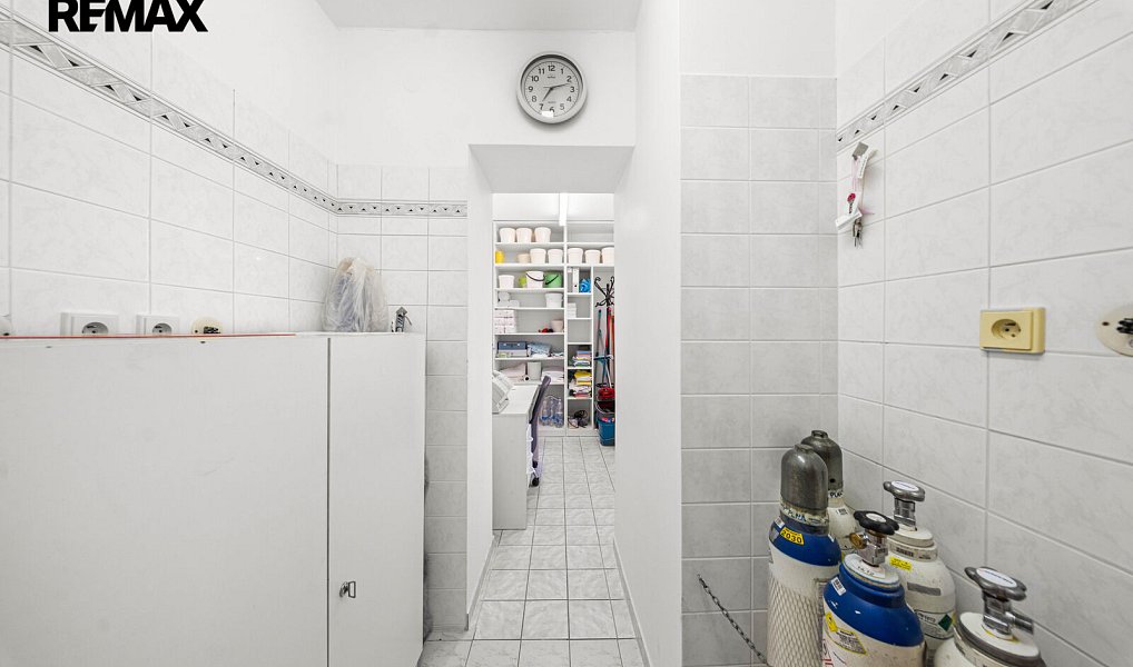 Prodej domu 361 m² s pozemkem 1 042 m², Kolín – náhled fotky 42