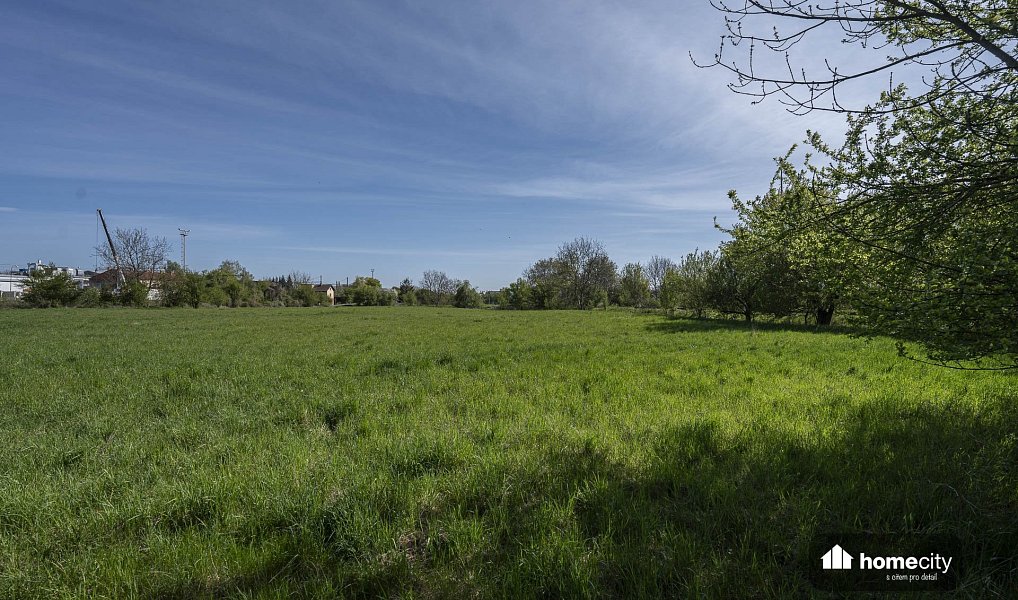 Prodej komerčního pozemku 9 749 m², Smiřice – náhled fotky 5
