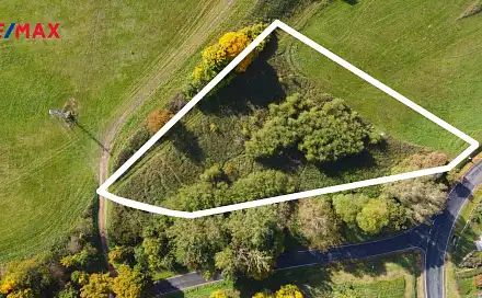 Prodej stavebního pozemku 3 965 m², Planá, okres Tachov