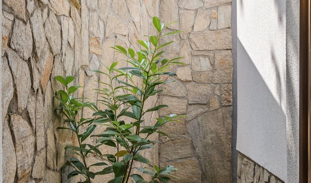 Prodej domu 180 m² s pozemkem 923 m², Račice – náhled fotky 26