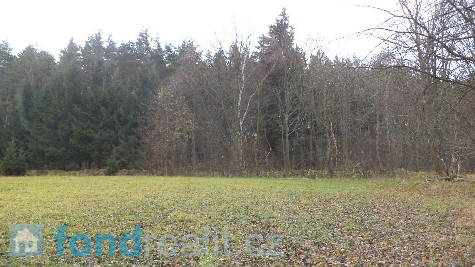 Prodej pole 10 224 m² – fotografie 4
