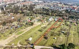 Ostatní