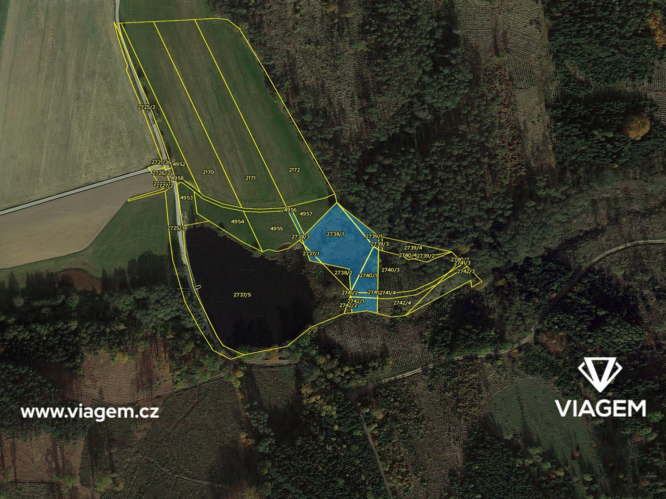 Prodej lesa 4 700 m² – fotografie 4