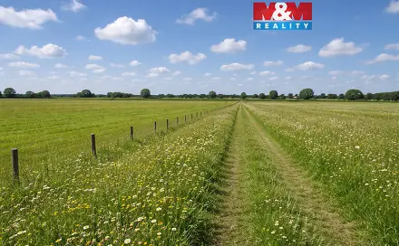 Prodej louky 16 129 m², Třemošná, okres Plzeň-sever