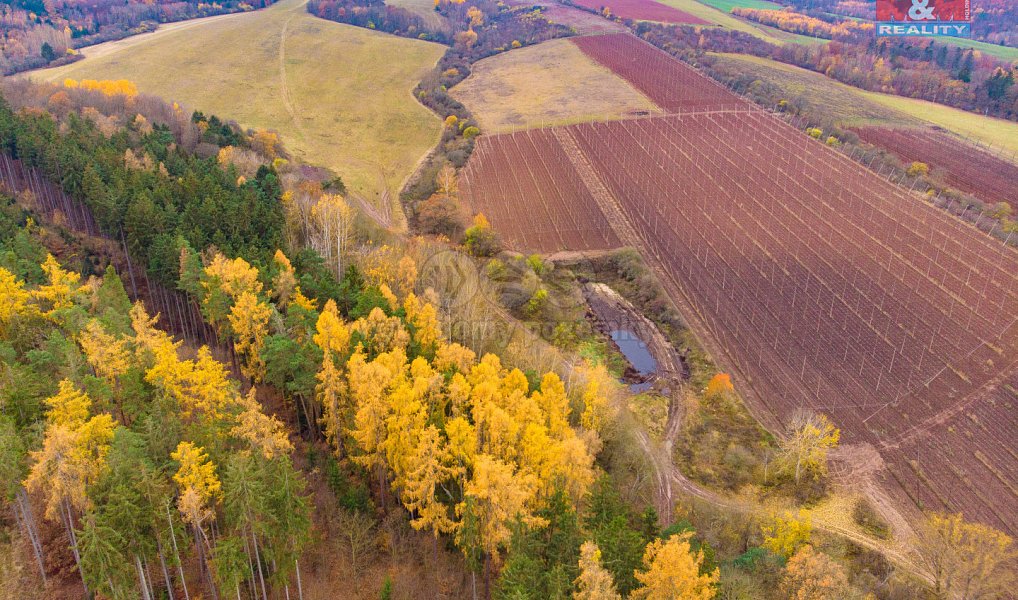 Prodej lesa 2 921 m², Tuchořice – náhled fotky 6