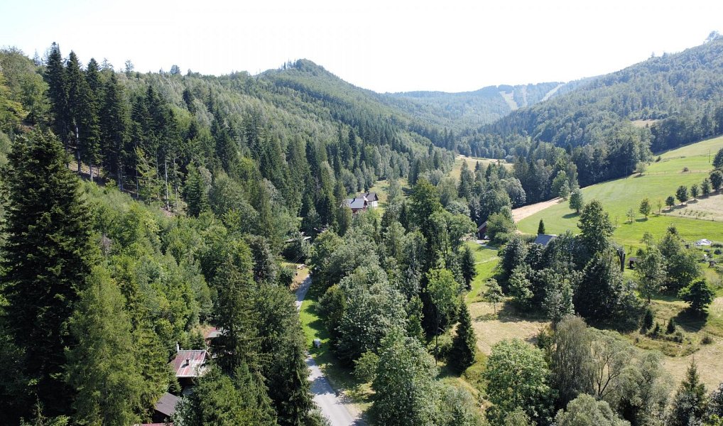 Prodej lesa 644 m², Dolní Lomná – náhled fotky 3